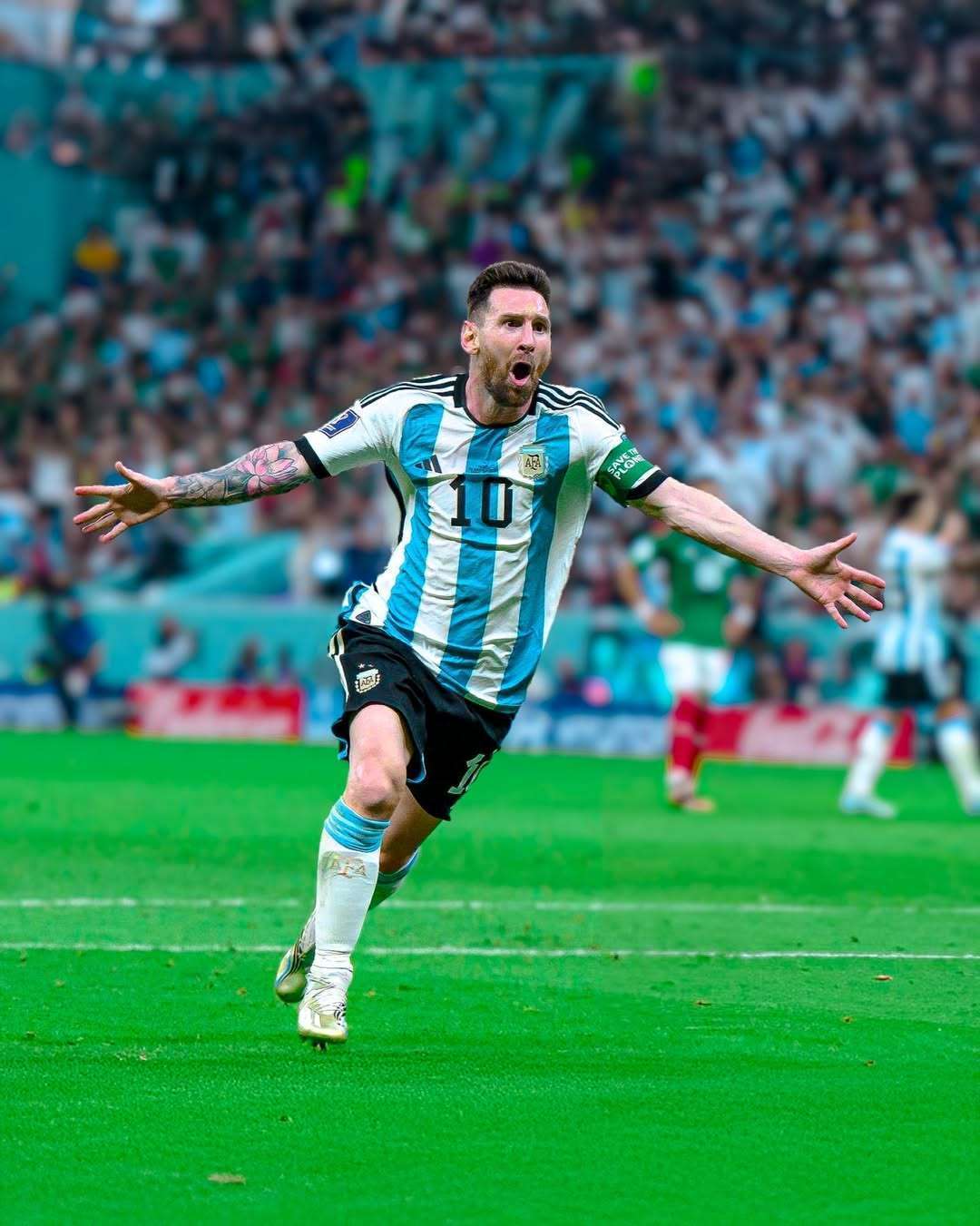 逆转的可能 逆转的可能